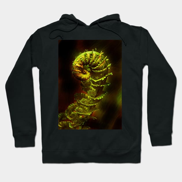 fractal fern Hoodie by lastgasp